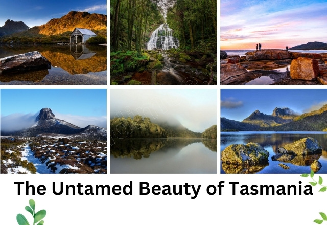 The Untamed Beauty of Tasmania